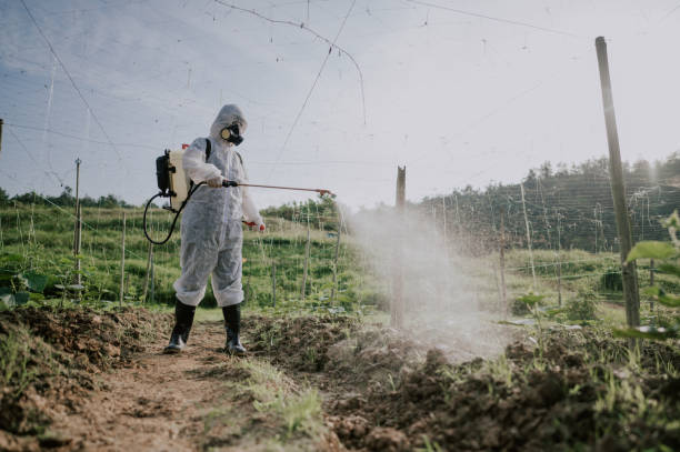 Best Best Pest Control Companies  in Salisbury, NY