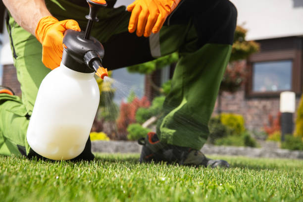 Best Pest Prevention Services  in Salisbury, NY