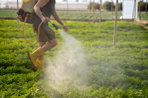 Best Best Pest Control Companies  in Salisbury, NY