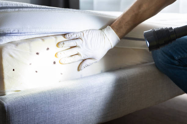 Pest Control Cost in Salisbury, NY