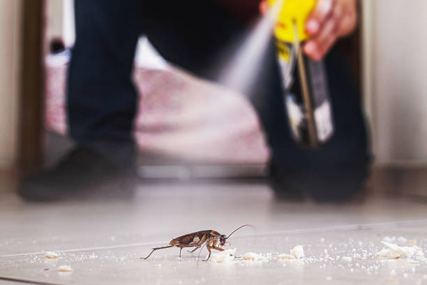 Best Pest Prevention Services  in Salisbury, NY