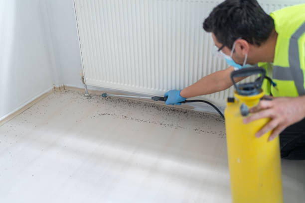 Best Pest Removal Services  in Salisbury, NY